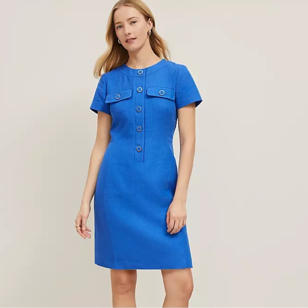 Ann Taylor Button Pocket Dress